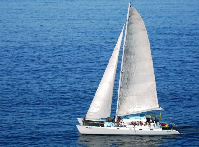  Catamaran for large groups 